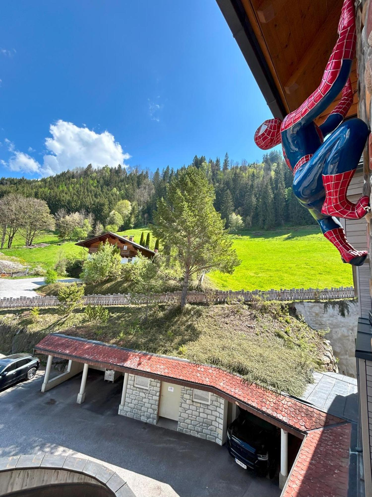 Weitenmoos Panorama Apart&rooms St. Johann im Pongau