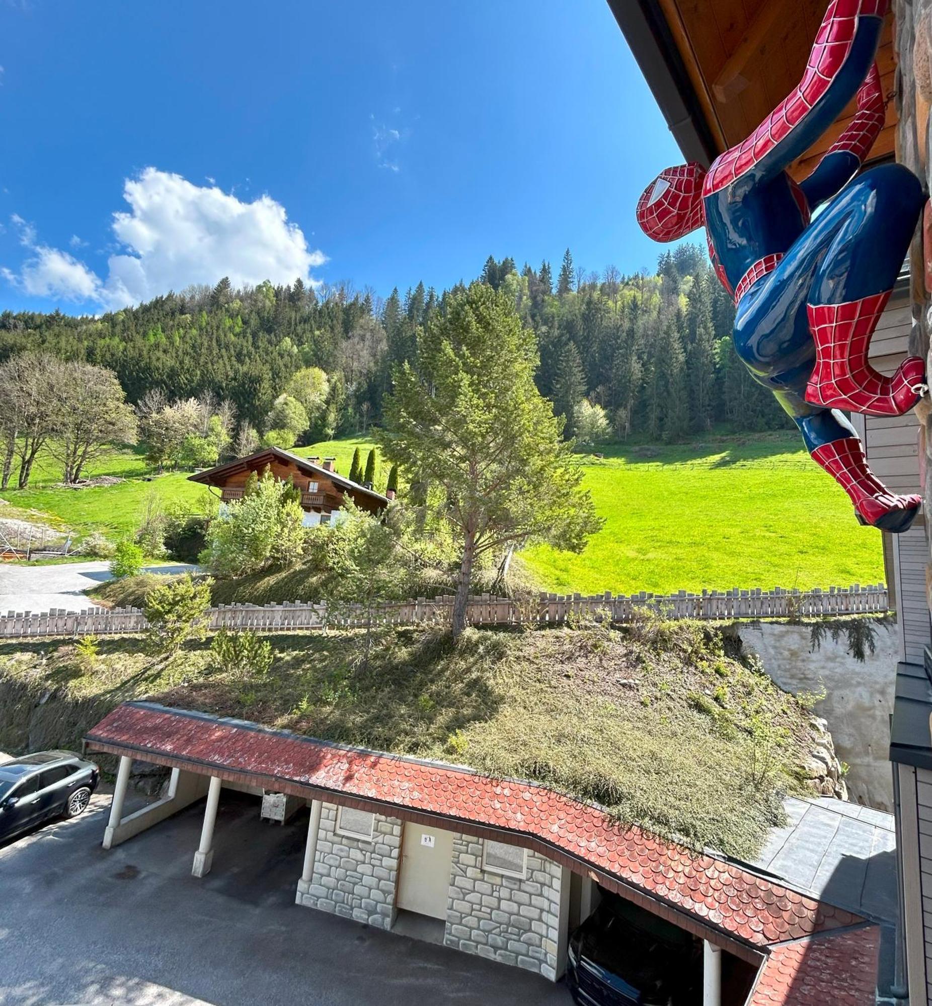 Weitenmoos Panorama Apart&rooms Apartment St. Johann im Pongau